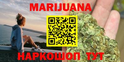 гидра Дмитров