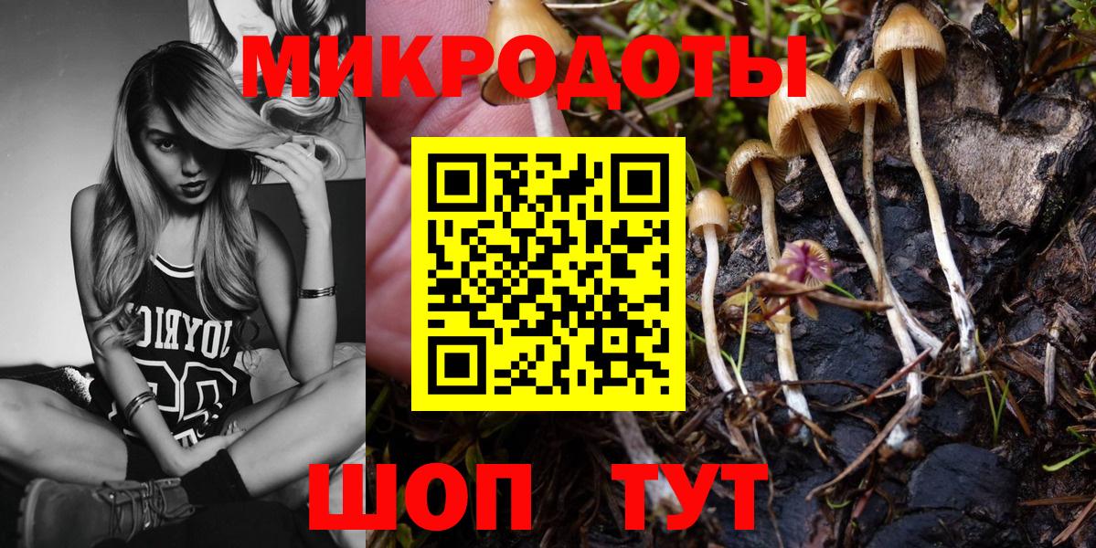 Галлюциногенные грибы GOLDEN TEACHER Улан-Удэ